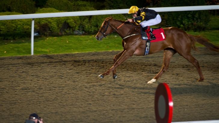 https://betting.betfair.com/horse-racing/Kempton%20finish%201280%20.jpg